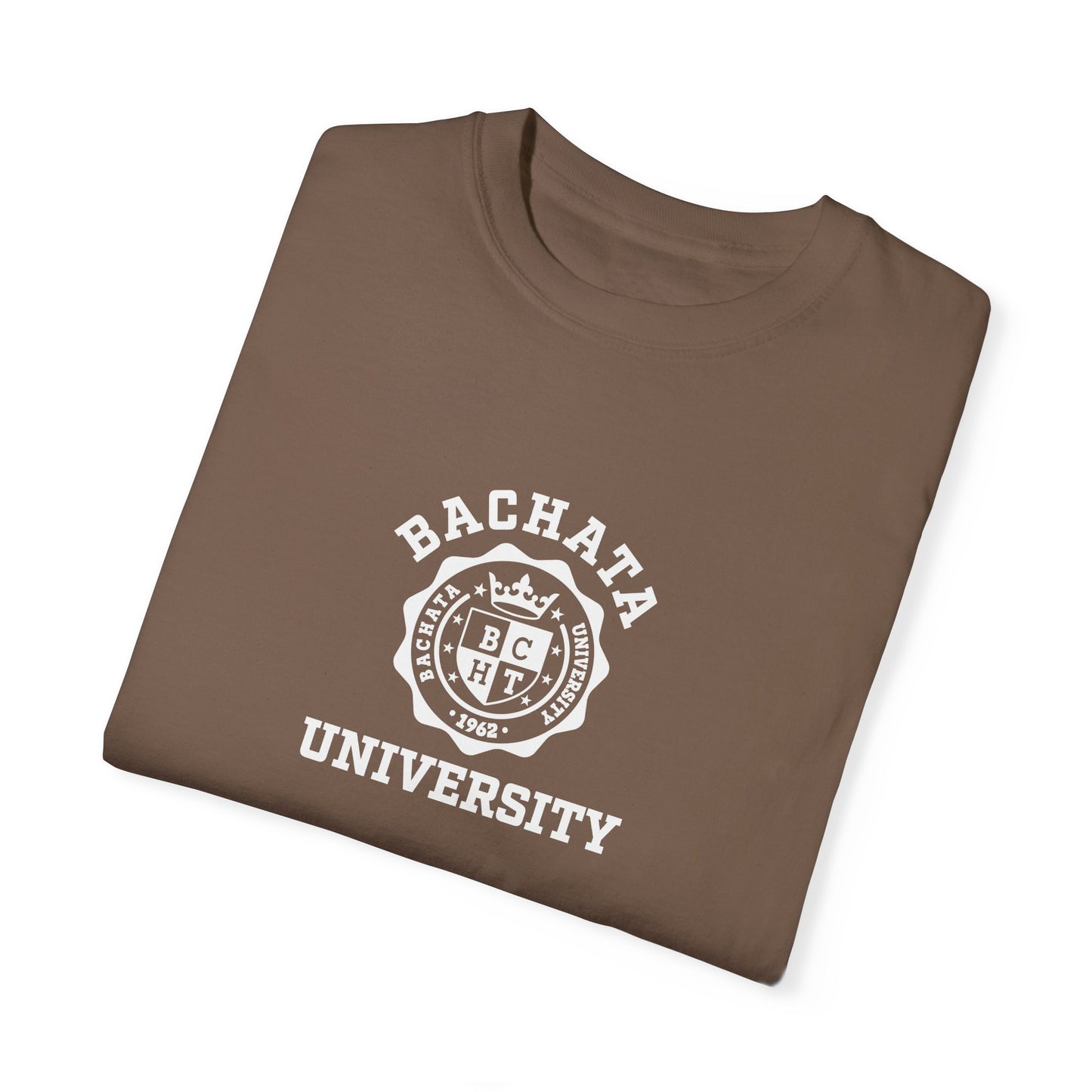 Vintage design Bachata University T-short